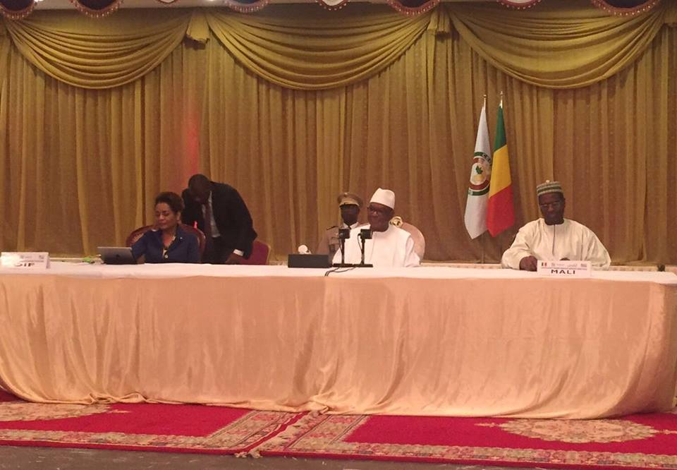 13445561 500570320133484 8557266419406333563 n