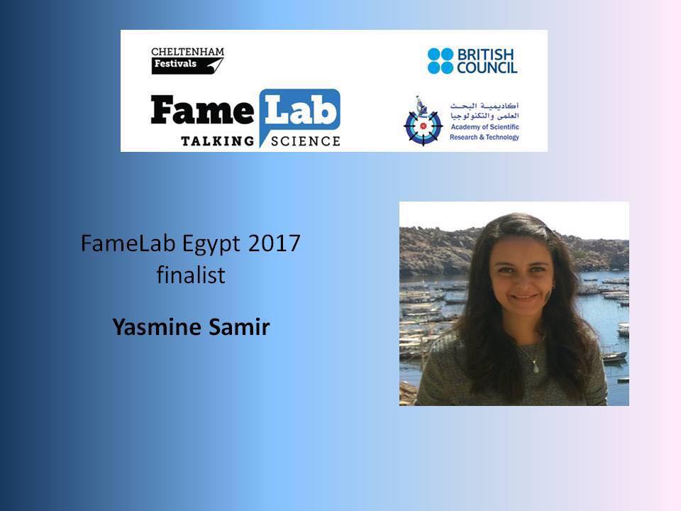 18034319 631915173665664 1731821175451204988 n